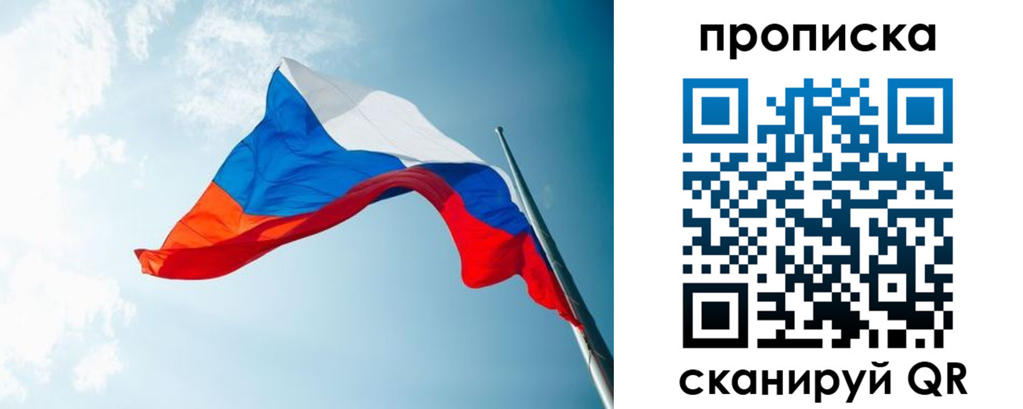 найти адрес прописки в Арамили